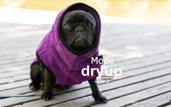 Dry-up mops hondenbadjas bilberry